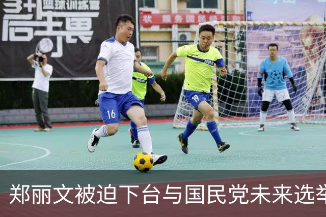 郑丽文被迫下台与国民党未来选举前景分析
